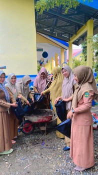 Penanaman Cabe